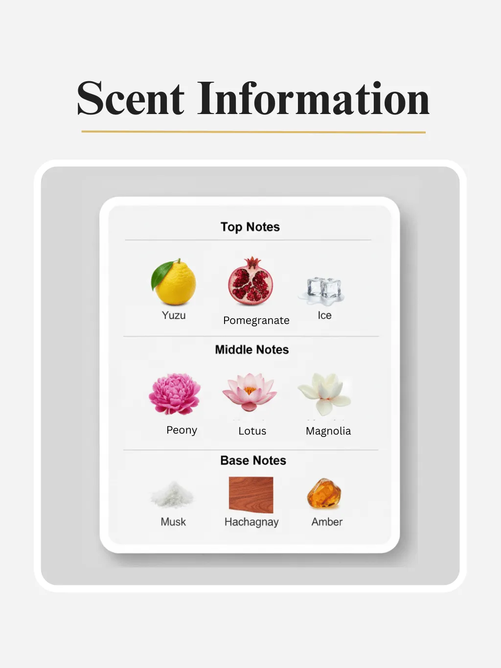 3. First Lady by Dvyne Perfumery – Versace Bright Crystal Inspired Perfume for Her, Scent Notes And Information