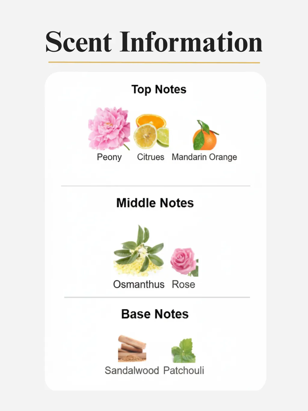 3. Floral Vibe by Dvyne Perfumery – Gucci Flora Inspired Perfume for Her, Scent Notes And Information