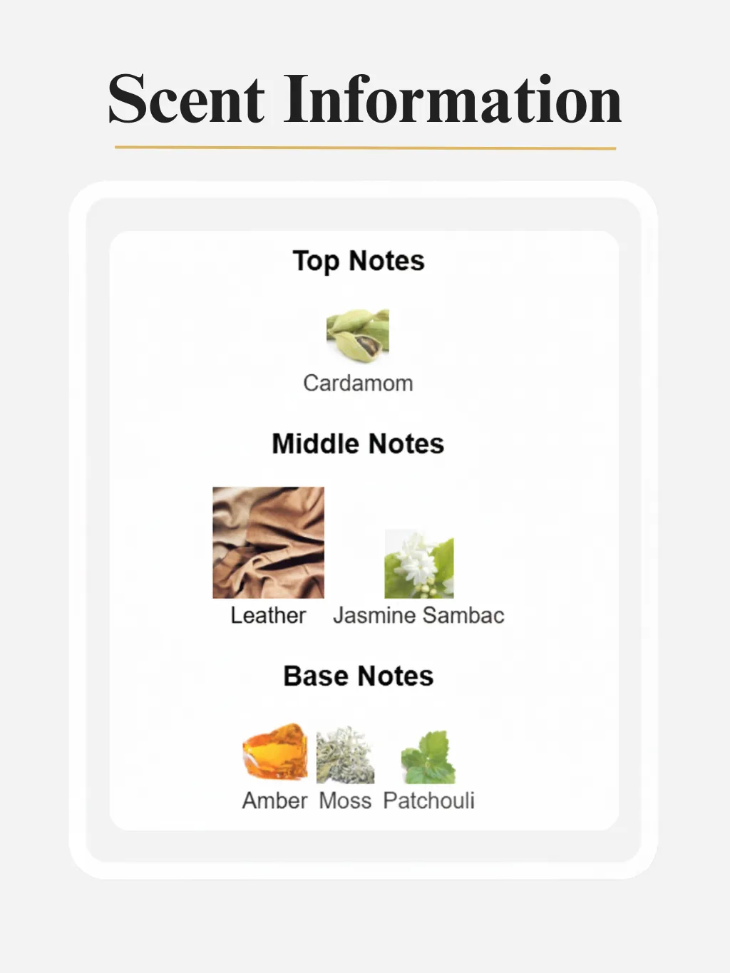 3. Passion by Dvyne Perfumery – Tom Ford Ombré Leather Inspired Perfume, Scent Notes And Information