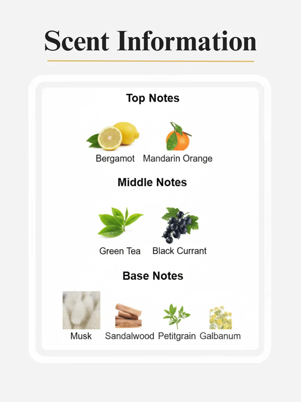 3. Royale by Dvyne Perfumery – Silver Mountain Water Creed Inspired Perfume, Scent Notes And Information