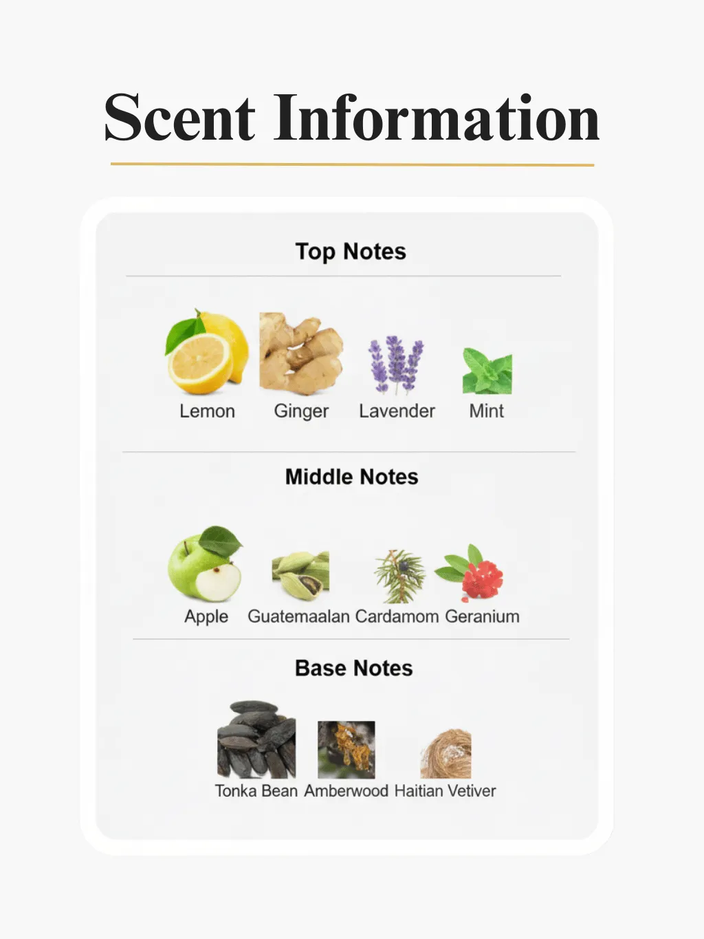 Fearless by Dvyne Perfumery – Azzaro Wanted Inspired Perfume, Scent Notes And Information